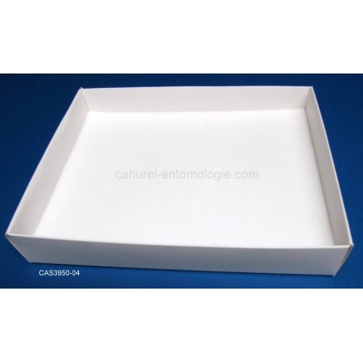 Casier carton 3950-04