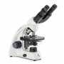 Microscope binoculaire Microblue