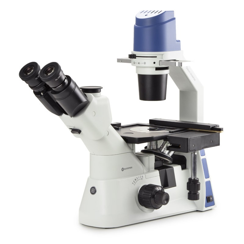 Microscope binoculaire inversé Oxion Euromex