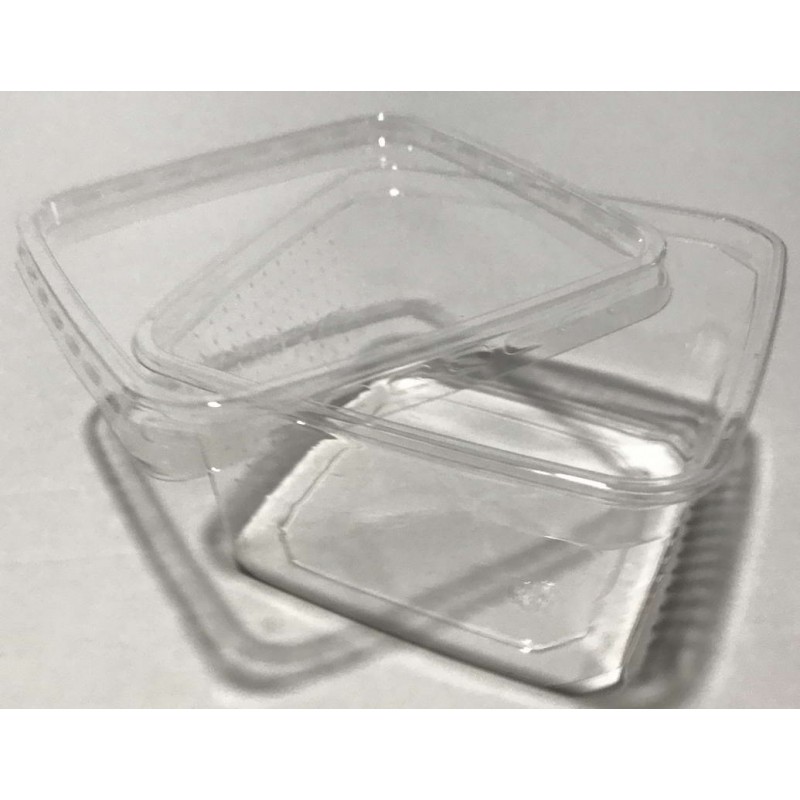 Carton de 2 boîtes à insectes en plastique – tailles différentes avec