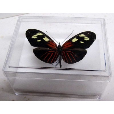 Boite transparente cristal
