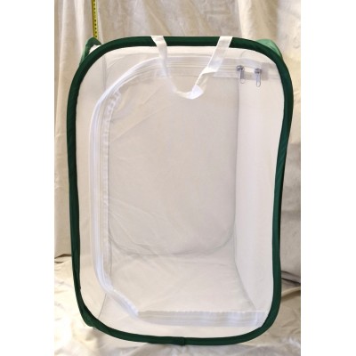 CAGE02 L40