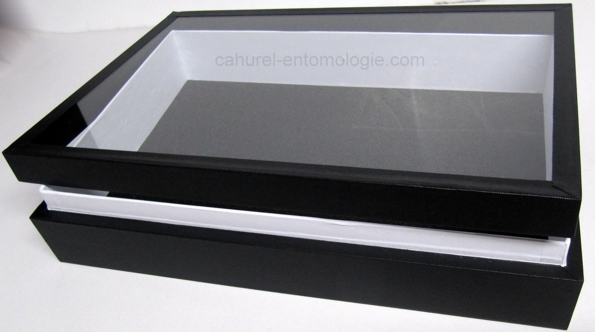 Boite entomologique 39 x 26 x 8 cm fond noir