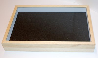 Boite entomologique 19,5 x 26 x 5,7 cm fond noir