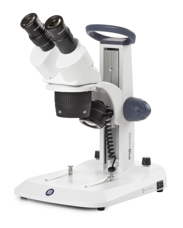 Loupe binoculaire Stéréo blue