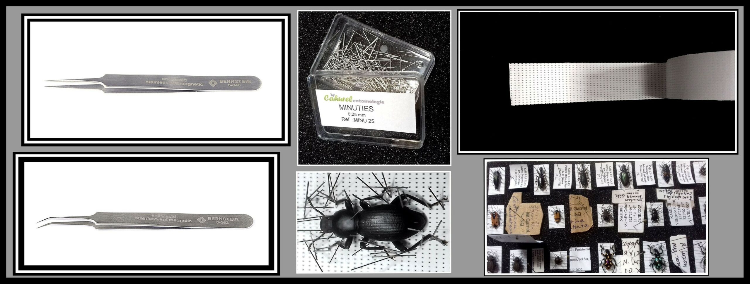 Kit d'étalage de précision pour petits coléoptères et autres espèces (Hémiptéres, Dermaptères, ...).