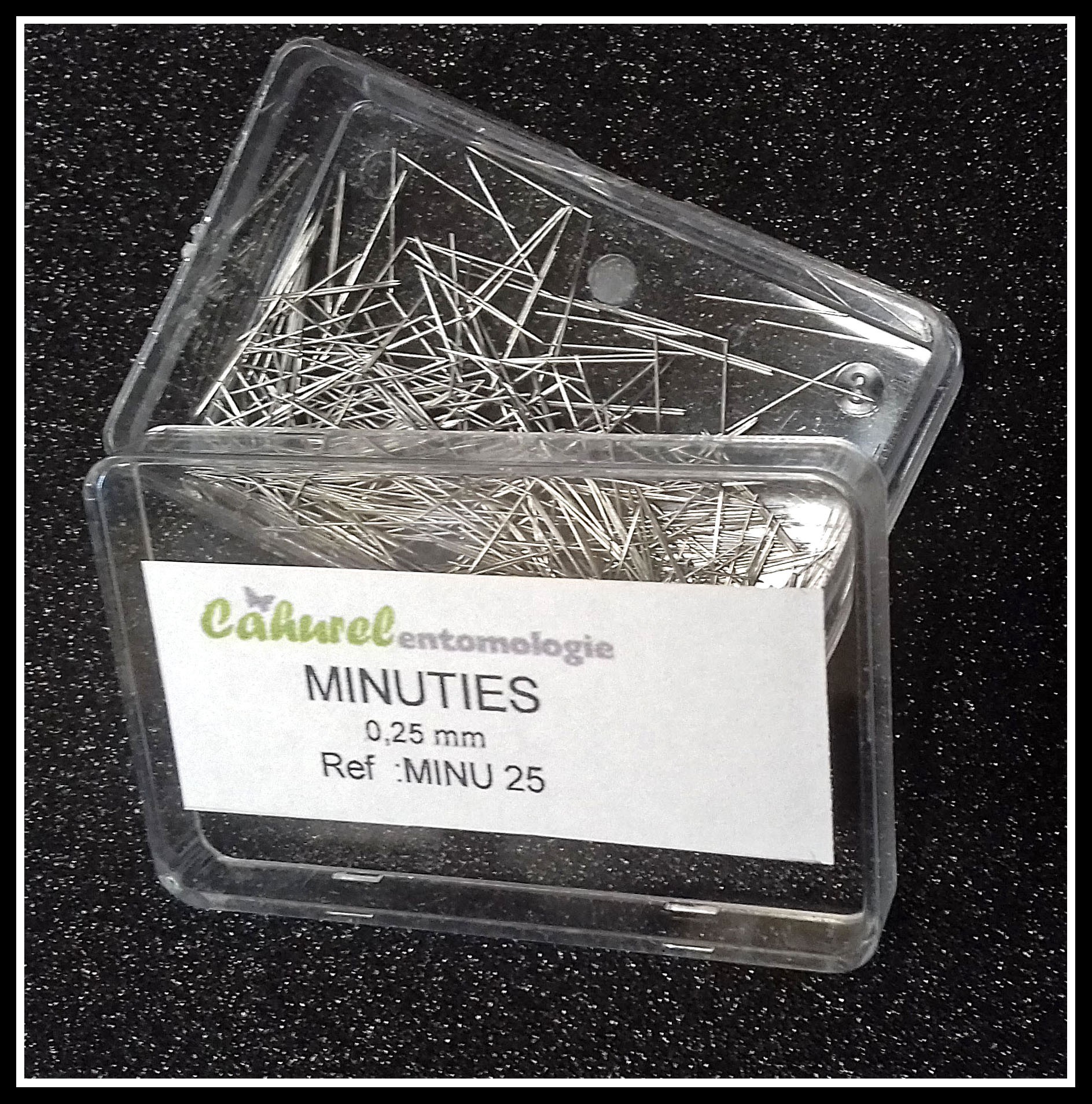 Kit d'étalage de précision pour petits coléoptères et autres espèces (Hémiptéres, Dermaptères, ...). – Image 2