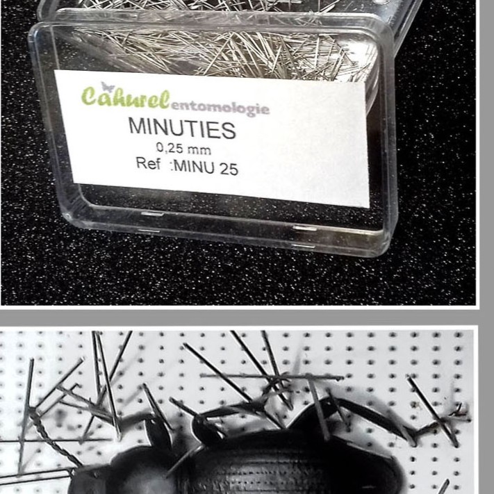 Kit d'étalage de précision pour petits coléoptères et autres espèces (Hémiptéres, Dermaptères, ...). – Image 6